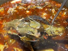 -石锅苗苗鱼(武汉首店)