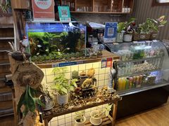 -Rabbit Cafe私房西餐甜点咖啡(栖霞路店)