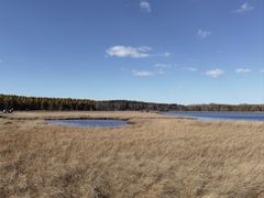 -塞罕坝国家级自然保护区