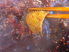 -岗上渣渣老火锅(两路口店)