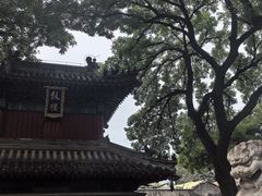 -广济寺