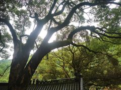 -石门洞景区