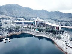 -逸廊大堂吧-下午茶·简餐-千岛湖自由洲际殿