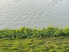 -美的鹭湖森林度假区