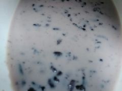 血糯米奶茶-沪上阿姨·精选茶饮(合生广场店)