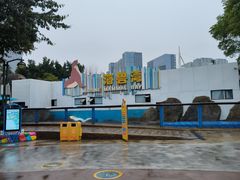 -海合安成都极地海洋公园