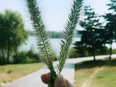 -北京麋鹿生态实验中心