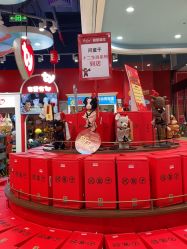 -哈姆雷斯(王府井百货大楼店)