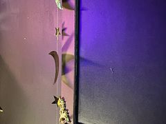 -Xcape异时刻密室逃脱魔法互动(瑞虹天地太阳宫店)