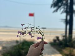 -万尾金滩