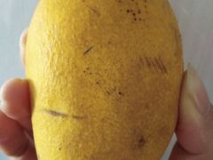 -百果园PAGODA(玄武成贤街店)