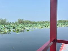 -白洋淀景区