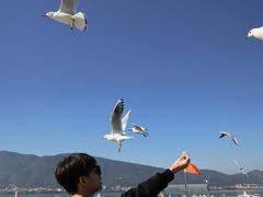-滇池海埂公园