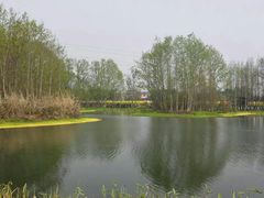 -桤木河湿地公园