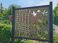 -北坞公园