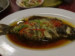 -小叶大馅饺子城