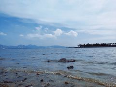 -深圳湾公园(南山区)