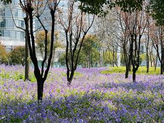 -上海山野camping·户外天幕烧烤·团建拓展营地