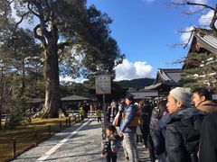 -豆政(金閣寺境内売店)