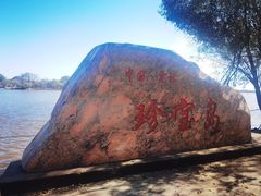 -珍宝岛