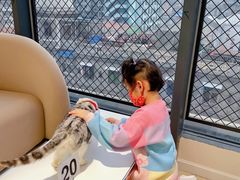 -怪兽屋·羊驼·猫咖·狗咖(俊华广场店)