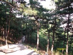 鹫峰&nbsp;(20)-北京鹫峰国家森林公园