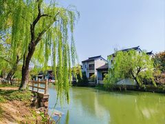 -尚贤河湿地