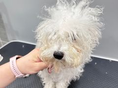 -1013 PET SHOP 宠物商店(近铁城市广场店)