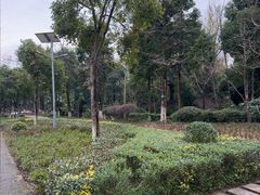 -重庆彩云湖湿地公园