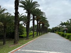 -厦门园林博览苑