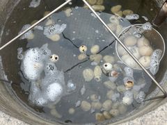 -凤翔首邑温泉度假村