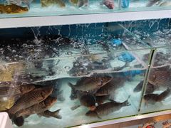 -盒马鲜生(枣园路店)