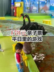 -七巧国萌宠乐园(龙湖天街店)