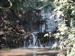 -莫里热带雨林景区