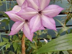 -莹珠阁·私房菜