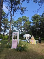 -Sugar苏格婚礼策划工作室