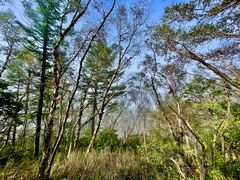 -白草畔自然风景区
