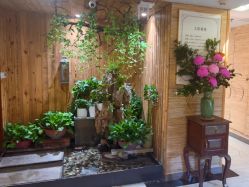 -至爱至信新中式SPA疗愈会所