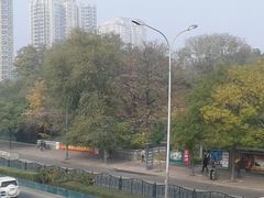 -紫竹院公园冰场