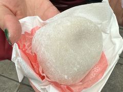 榴蓮糯米糍-澳门长洲糯米糍(柯打苏沙街店)