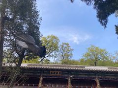 -潭柘寺景区