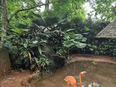 -海南热带野生动植物园