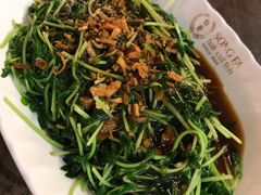 -松發肉骨茶(先得坊店)