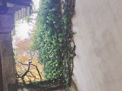 -惠山古镇·寄畅园