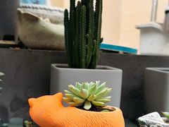 -后海16号·北京私房菜