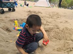 -东郊湿地公园