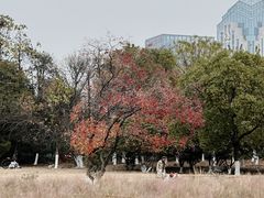 -艾溪湖湿地公园