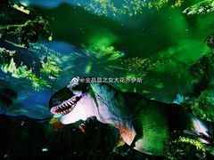 -广州长隆野生动物世界