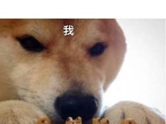 -伯爵·沉浸式超级密室·直营店