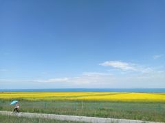 -青海湖国家重点风景名胜区